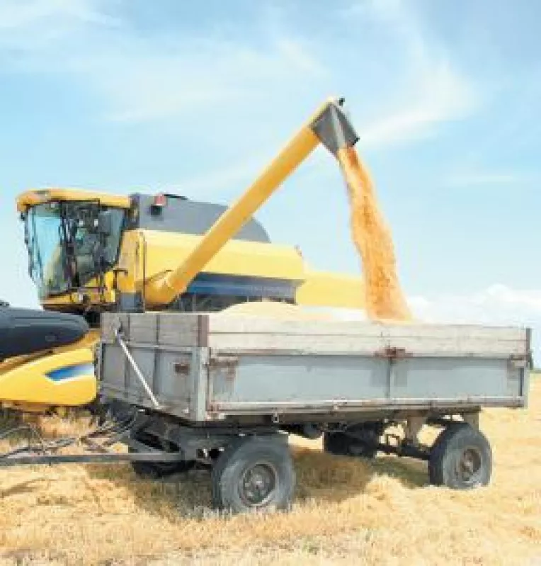 Agricultura Doljului,  la mana vremii