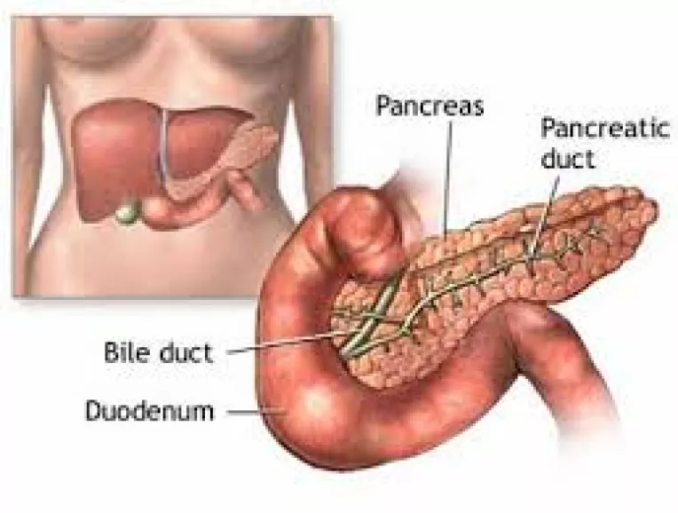 Cercetatorii britanici au depistat trei marqueuri specifici cancerului pancreatic prezenti in urina suferinzilor de acesta boala