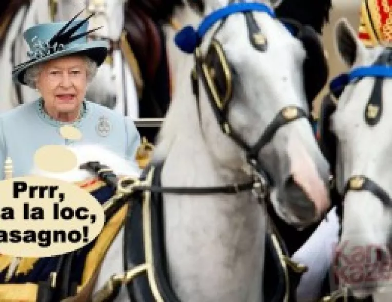 "Cine zice ala este, ca magarul din poveste": Anglia ia locul Romaniei in scandalul carnii de cal