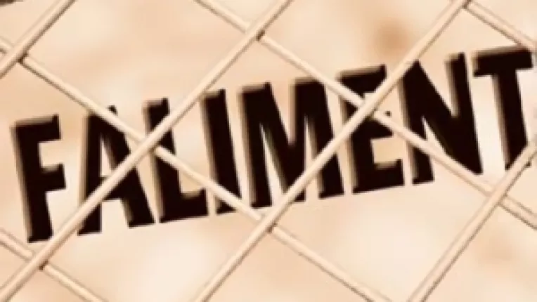 Guvernul Boc: Gand rau firmelor private
