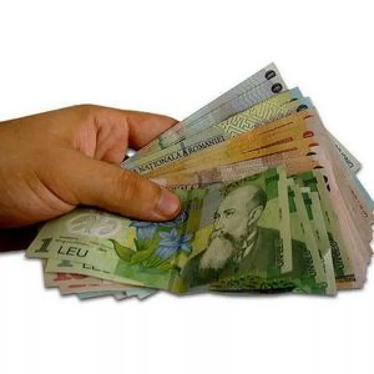 Leul a revenit la cursul oficial!