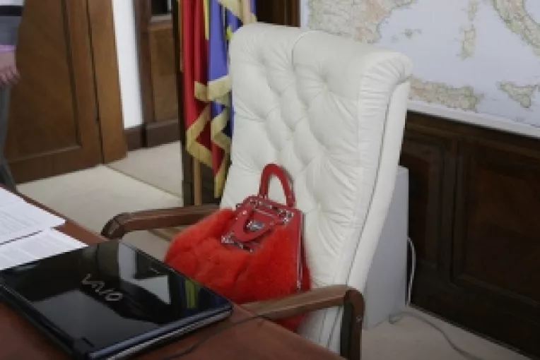 Octavian Stireanu: Basescu vrea un Guvern de uniune nationala in jurul Elenei Udrea