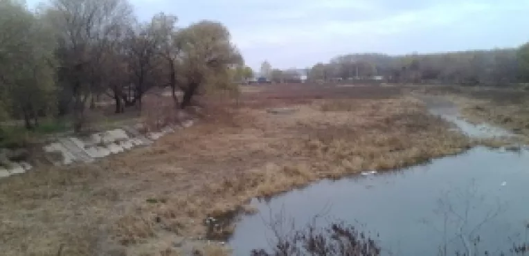 Parcul cu lac de agrement Jirlau, de langa Spitalul Judetean de Urgenta Calarasi, a ajuns o groapa in care sunt pompate dejectii pestilentiale!