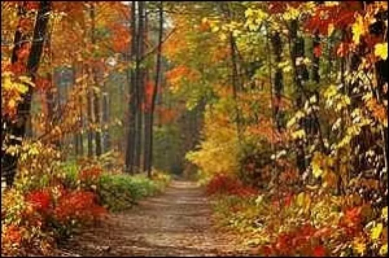 Prognoza meteo pe 3 luni: Septembrie, Octombrie si Noiembrie 2014