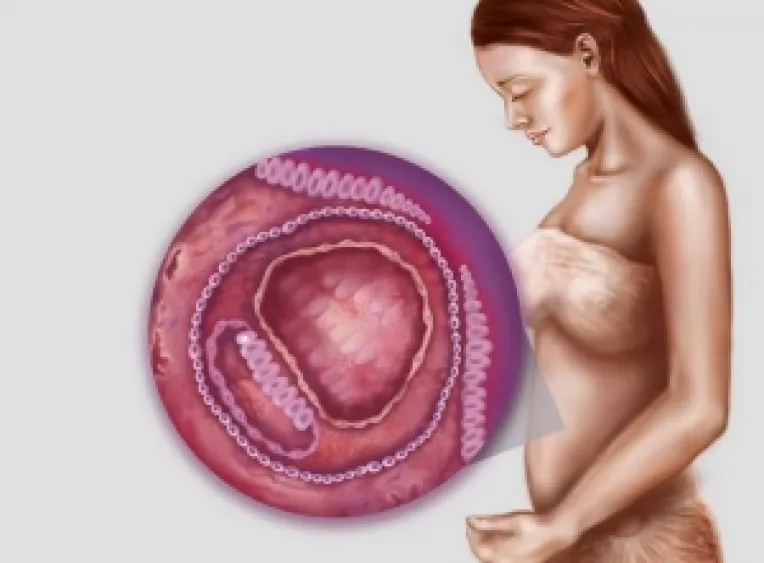 Sfaturi si trucuri pentru saptamana a treia de sarcina