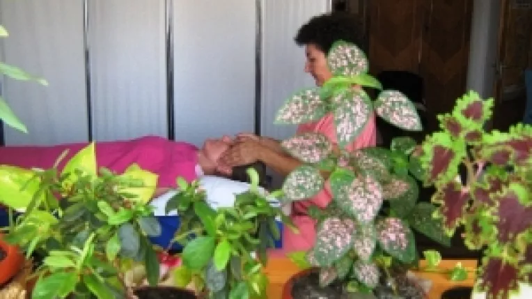 Terapiile utilizate la Centrul de Sanatate Medireflex sunt naturiste si completeaza sau substituie terapiile medicinii alopate