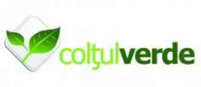 Vopsire ecologica la Ford